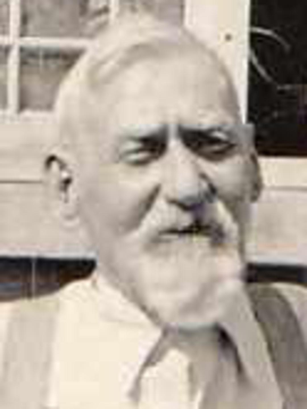 Archibald Wilson (1843 - 1939) Profile